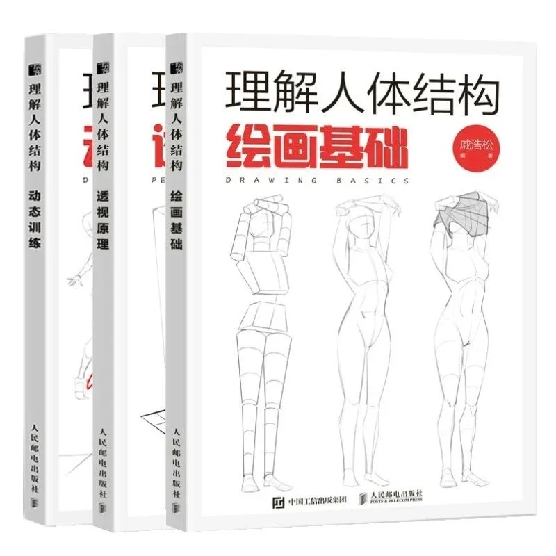 Chinese Art Craft - İnsan vücudu yapısını anlamak: dinamik eğitim