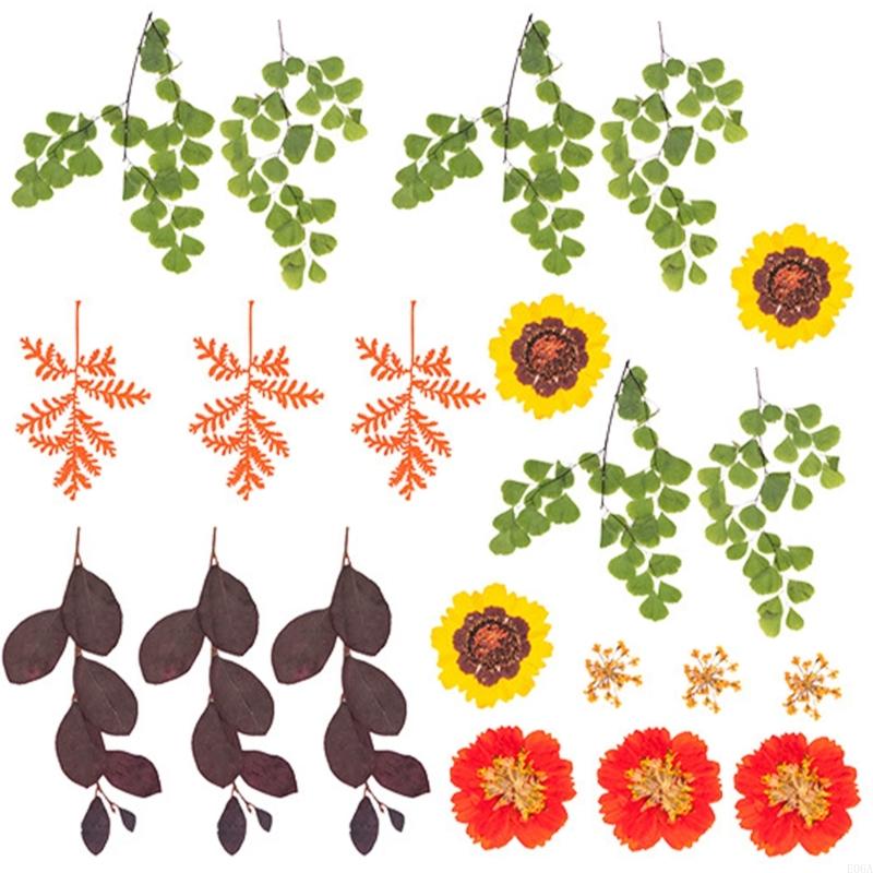 Reçine Kalıpları için Kurutulm - Art Craft With Leaves incelemesi ve fiyatı