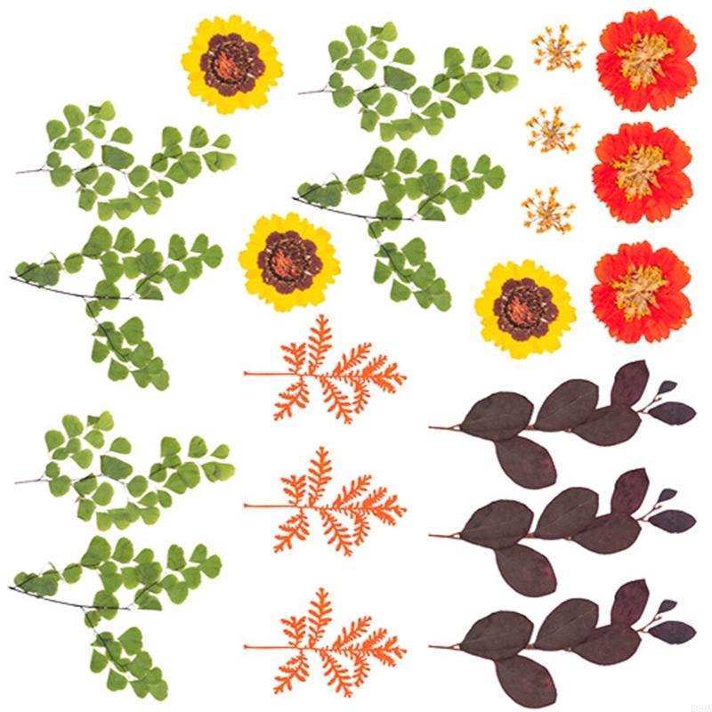 Reçine Kalıpları için Kurutulm - Art Craft With Leaves incelemesi ve fiyatı