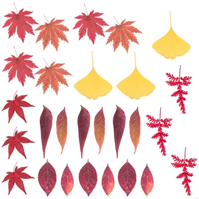 Reçine Kalıpları için Kurutulm - Art Craft With Leaves incelemesi ve fiyatı